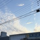 88카크리닉 이미지