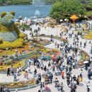 (주)국제여행사 이미지