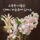 화서지몽 이미지