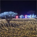 인생의 방향이 헷갈릴 때, 양산신점 별상선녀마마대신이 전하는 마음 다스림의 힘