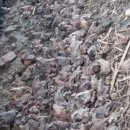 월학농장 이미지