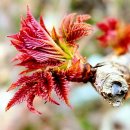 신탁행정사사무소 이미지