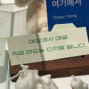 이파리샵
