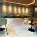 시크펫 그루밍 이미지