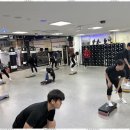 레드윙 복싱 이미지