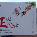 정사과