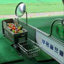 부용골프연습장 이미지