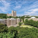 서울대학교 이미지