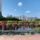 팔달구청 앞 이미지