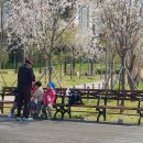 꿈누리유치원 이미지