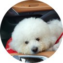 청라스카이모터스 네이버블로그