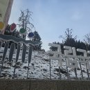연극 &lt;붉은 낙엽&gt; 후기 250128 밤공
