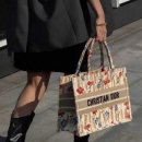 오블리에 이미지