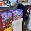 선부광장 내 | 안산 선부역 맛집 &#34;임성근국가공인진갈비&#34; 게장, 샤브샤브 무한리필 내돈내산 후기