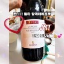 포아포 이미지