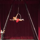 더매직서커스 이미지