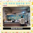 행복한제이피부과의원 네이버블로그
