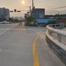 월운 미디어투데이