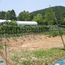 내곡동-1 이미지