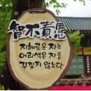 대원사 이미지