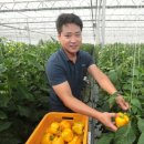 태곡농장 이미지