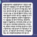 민언니