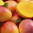 애플망고 이미지