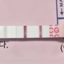 2025.2 시험관 2차(감자배아)-4 아기집 확인(with서울아이앤 여성의원)
