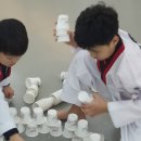 용인대양지태권도장 이미지