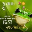 경칩 세번째 절기인 경칩. 이미지