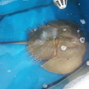 중국마트 이미지