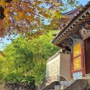 [경상남도 밀양시] [밀양아리랑길 2코스] 추화산성길