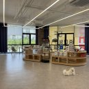 도그베이 동탄호수공원점 이미지