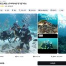 제주도 가디언다이브 스쿠버다이빙 초보자도 가능한 체험