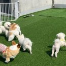 루이야 놀고 자고 GO 이미지