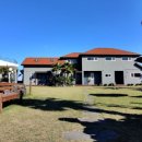 제주마중 판포 이미지