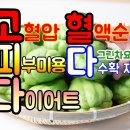 그린모종