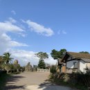 NR-3[평화로]-하-799 | [제주도 3박4일 여행] 제주 양떼 목장 아이들과 함께 하면 좋아요!(+카페 후기)