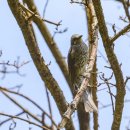 장충단공원 이미지