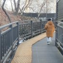 휘경2동주민센터 건너편 배봉산둘레길 입구 이미지