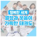 도담태권도 이미지