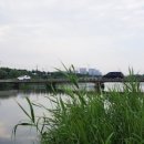 사노교