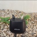 포낙보청기포항센터 이미지