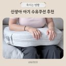 신생아 아기 수유쿠션 잉글레시나 엘리시아 모유 수유 후기