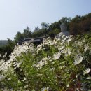 공주-28 이미지