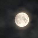 1032회 예상 분석 자료 이미지