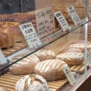 라비뛰드 이미지