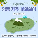 창꼼스테이 | 제주살이 11일차 🍊: 조천읍 근처 가볼만한 곳 포토스팟 창꼼바위, 런던베이글제주점 웨이팅 후기, 이색...