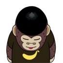 뉴캐슬고릴라 네이버블로그