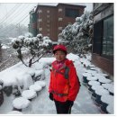 대도빌라 이미지